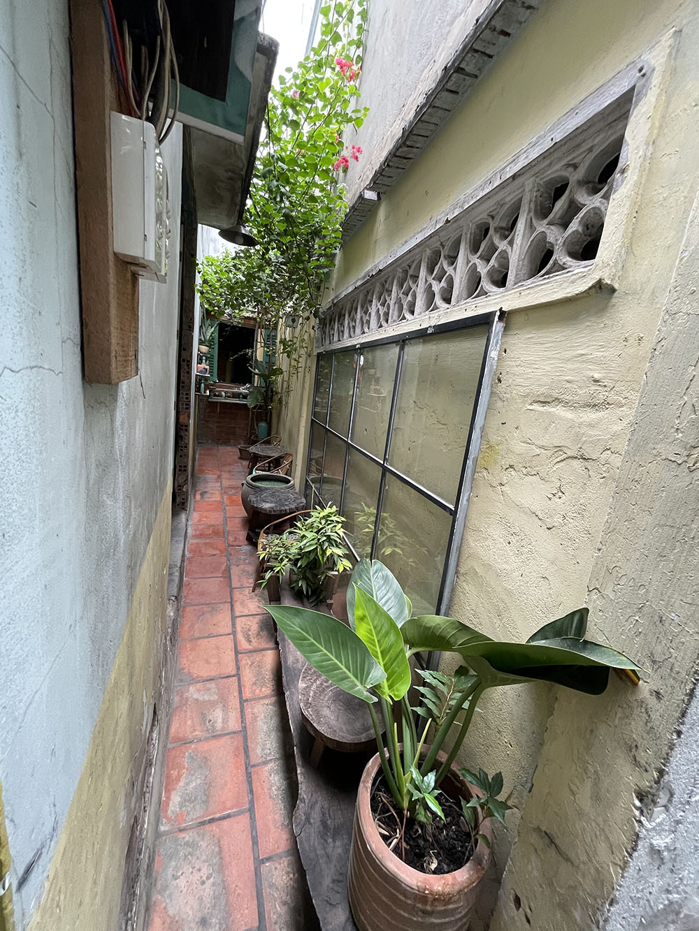 Nhà vườn (4 nở hậu 8,5 x 24,5=125m2) đang kd caphe nhạc Trinh hẻm 8m Lê Quang Định-giá chỉ 116tr/m2